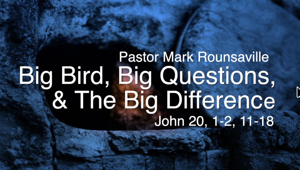 Big Bird, Big Questions, & The Big Difference